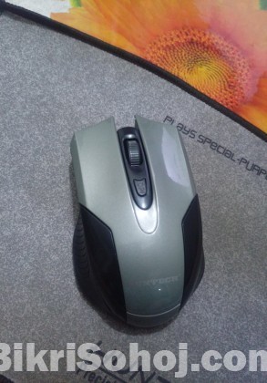 mouse